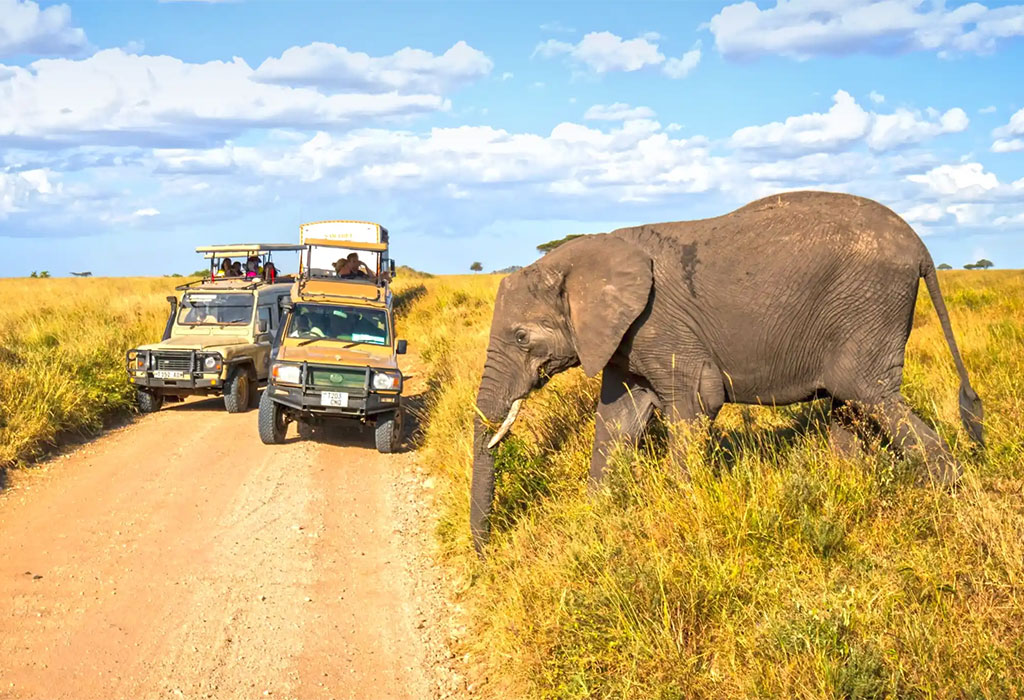 4-Day Classic Tanzania Northern Circuit Safari